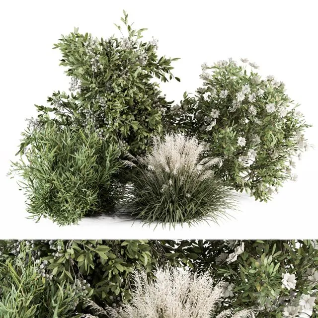 Mixed Plant Bush – Bush Set 49 3dsMax Model