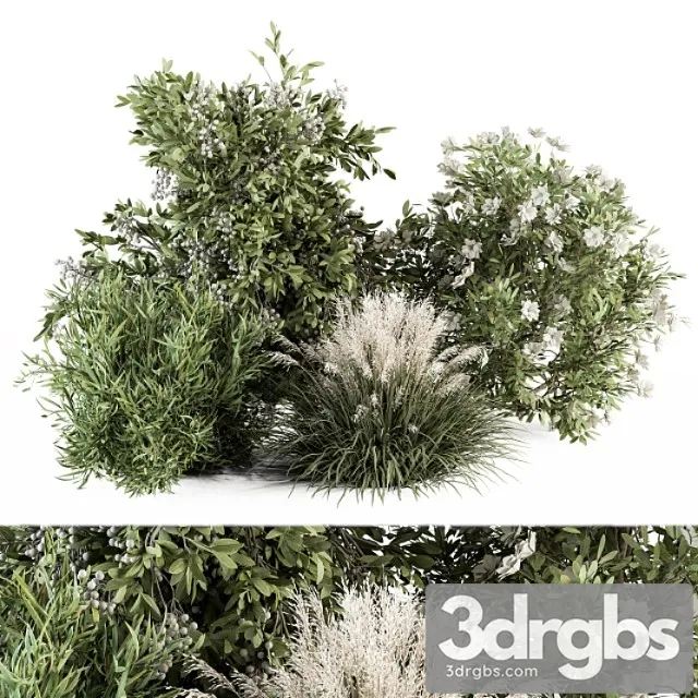 Mixed plant bush – bush set 49