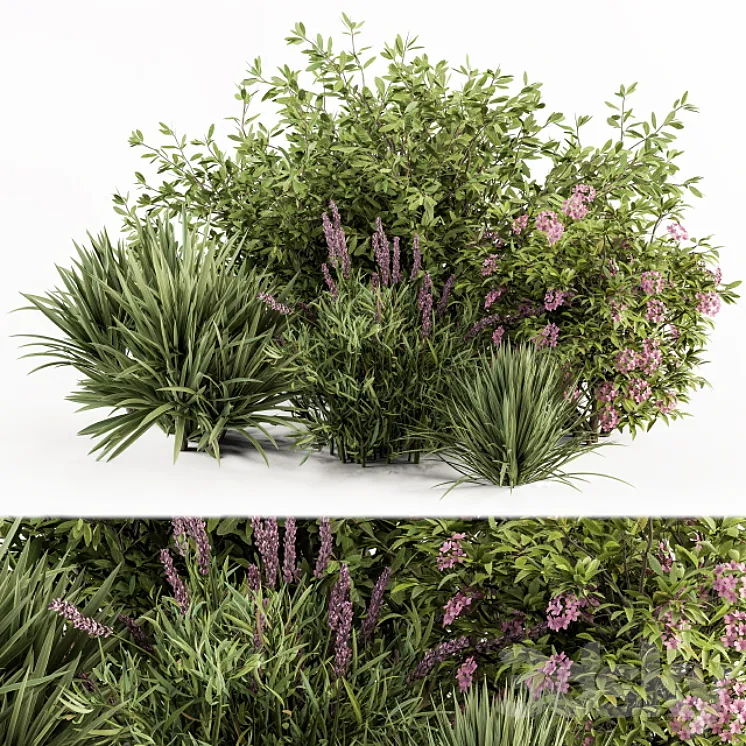 Mixed Plant Bush Green and Purple – Bush Set 50 3DS Max Model