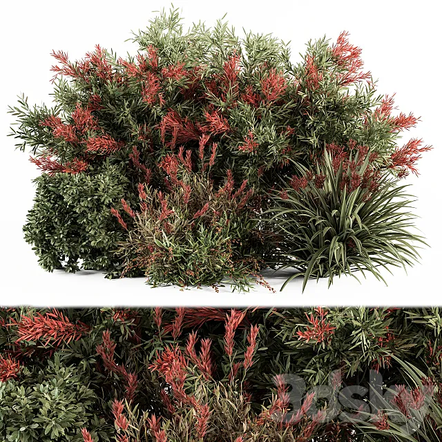 Mixed Plant Bush Green and Red – Bush Set 51 3ds Max