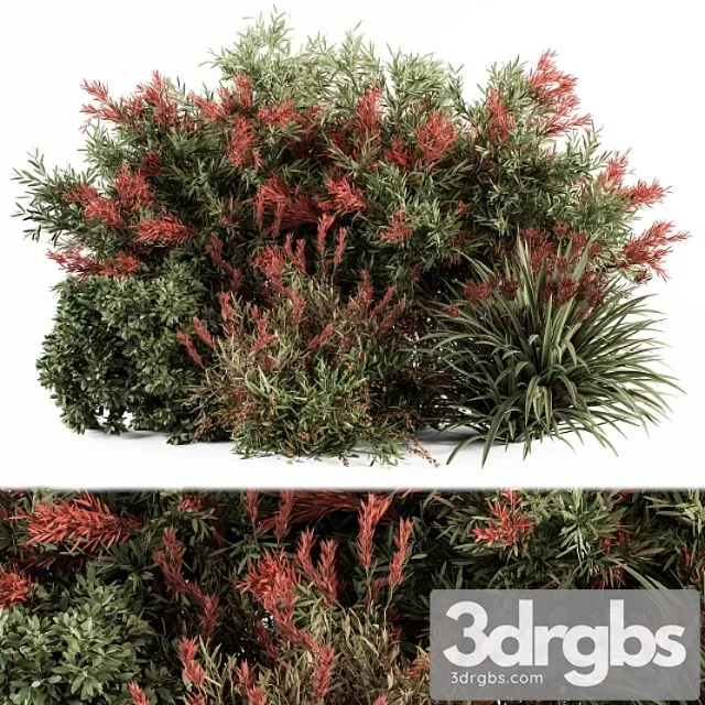 Mixed plant bush green and red – bush set 51
