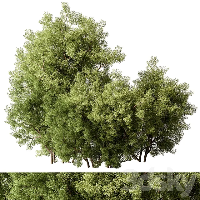 Mixed Plant Bush Set 105 3DS Max Model