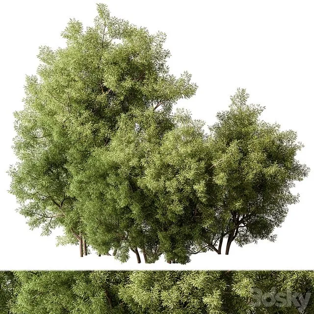 Mixed Plant Bush Set 105 3dsMax Model