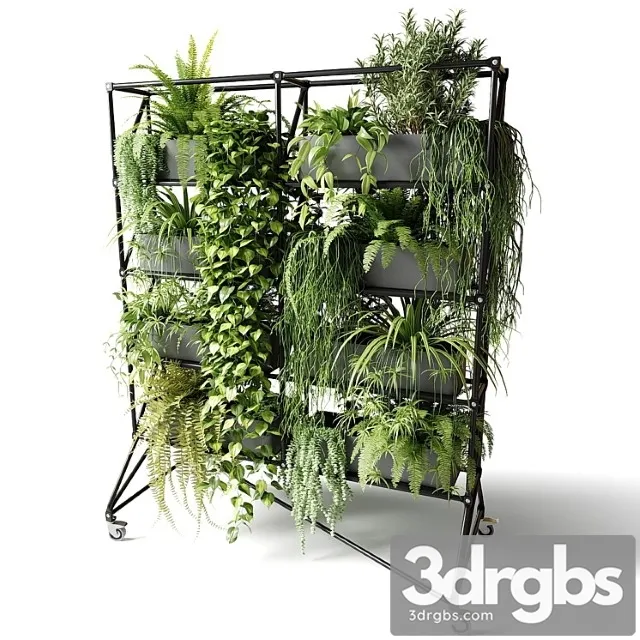 Mobile rack with plants