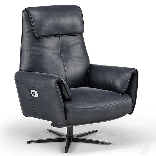Modani Faenza Motion Lounge Chair 3ds Max