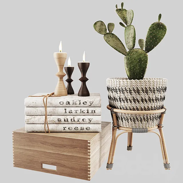 Modern Decor Set 10 3DS Max Model