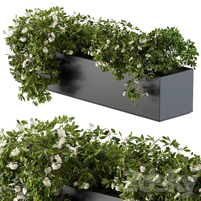 Modern Planter Box White Flower 3ds Max