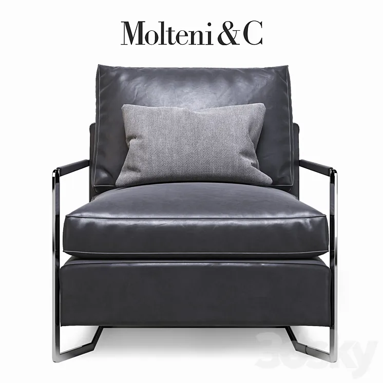 Molteni&C Portfolio armchair 3DS Max