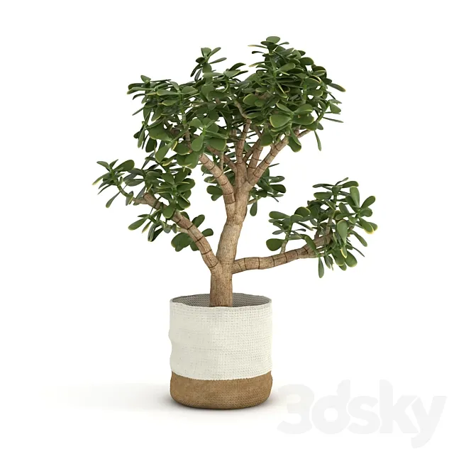 Money Tree 3ds Max