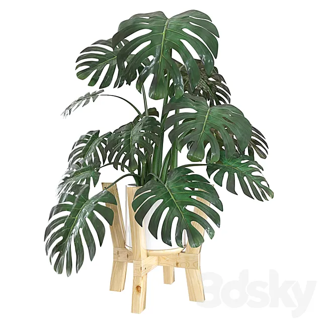 Monstera 3ds Max