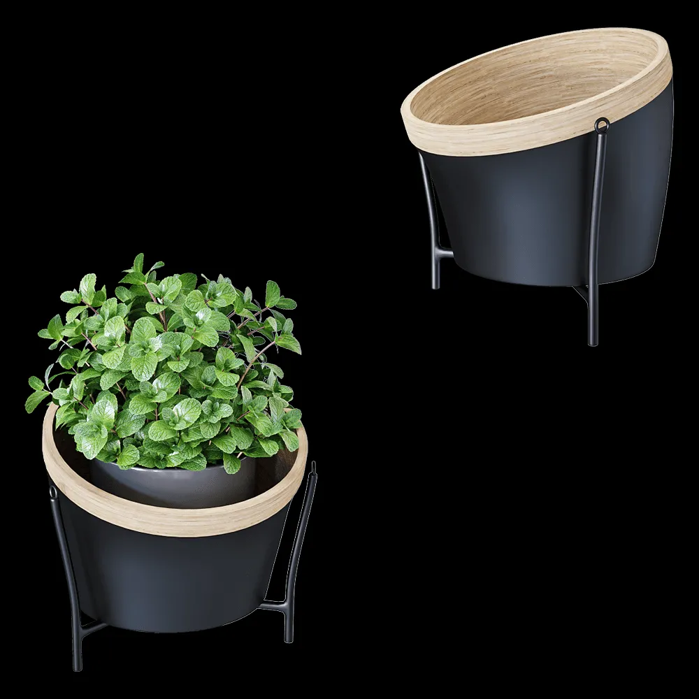 Montly – Planters for flowers MON15 3ds Max