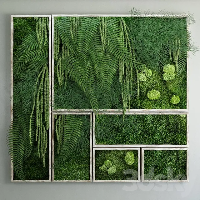Moss and fern fytowall 3DSMax File