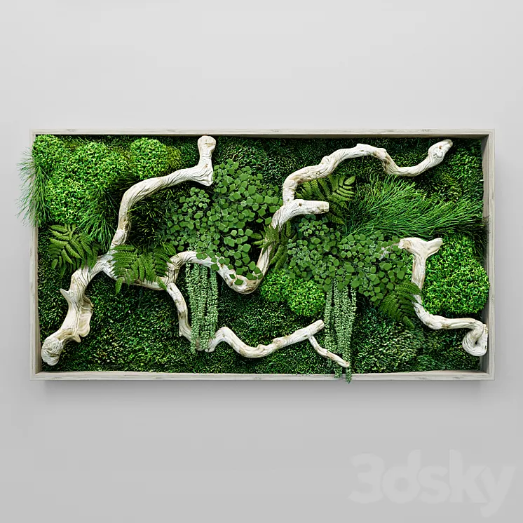 Moss fern and snag fytowall 3DS Max