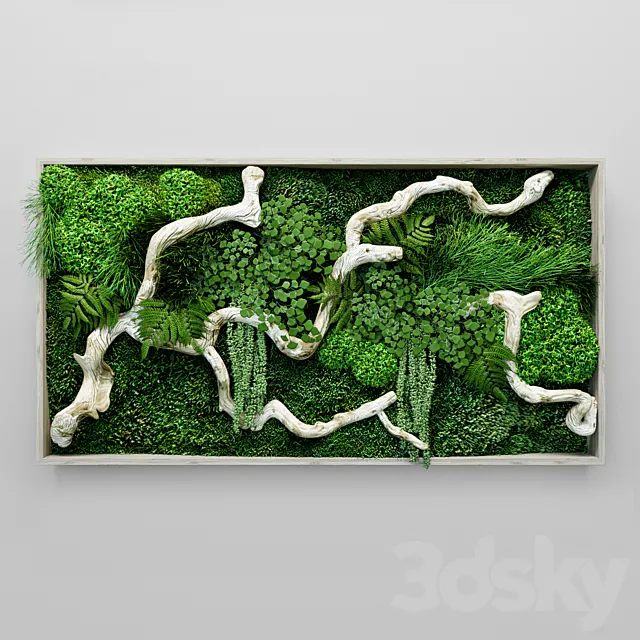 Moss fern and snag fytowall 3dsMax Model