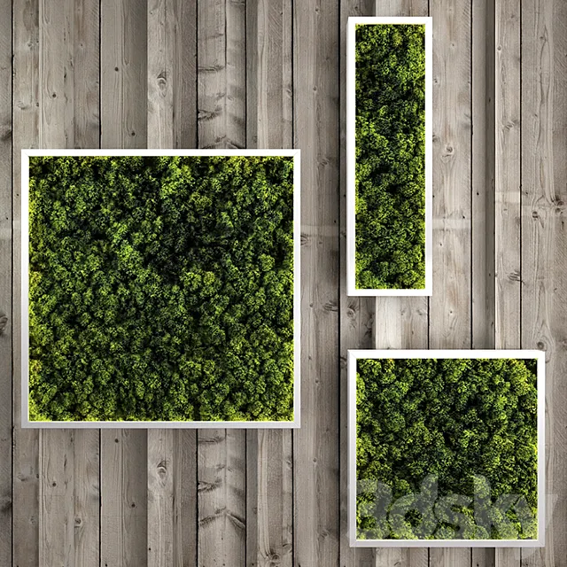 Moss modules 3DS Max Model