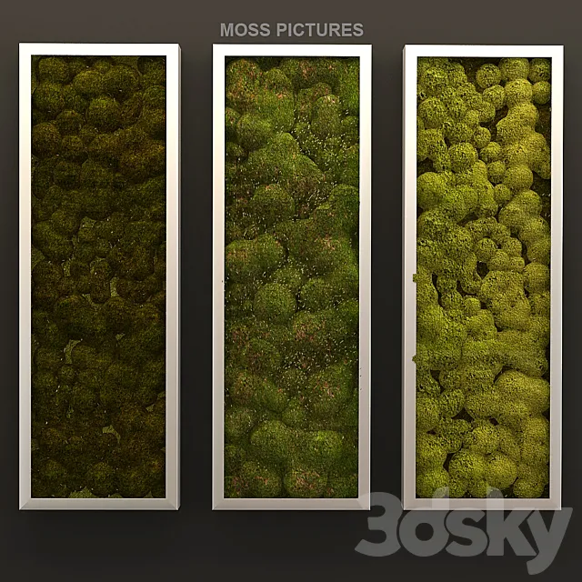 Moss pictures 3DS Max Model