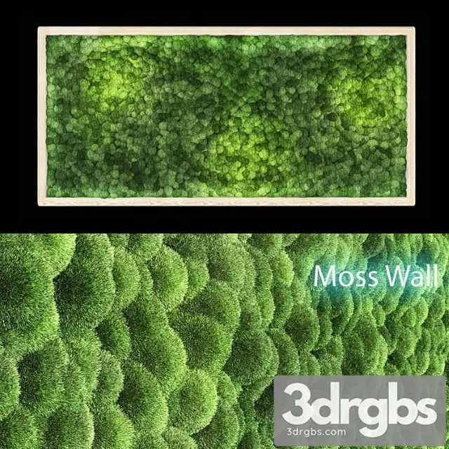 Moss wall