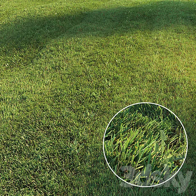 Mowed lawn 3DSMax File