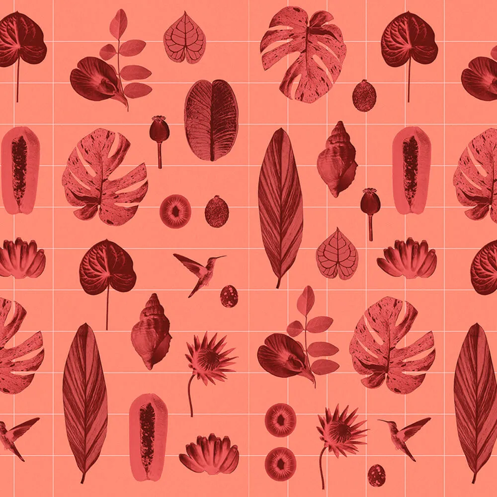 Murals – Wallpaper CORNET DE VOYAGE 3ds Max