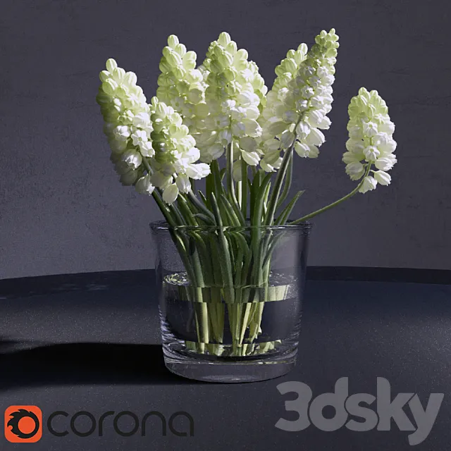 Muscari_Hyacinthaceae 3ds Max