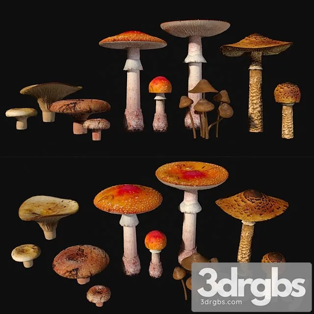 Mushrooms. set1 3dsmax Download
