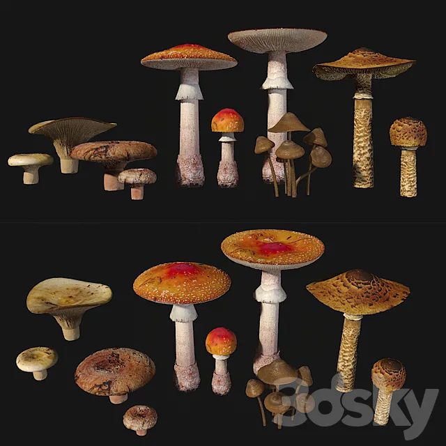 Mushrooms. Set1 3DS Max Model