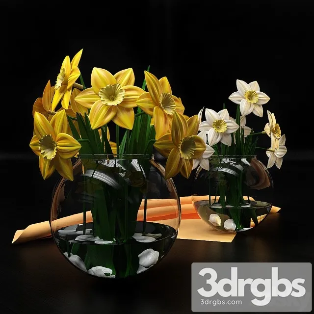Narcissus Flowers 3dsmax Download