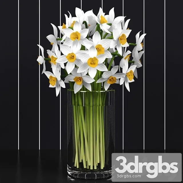 Nartsissy Daffodils 3dsmax Download