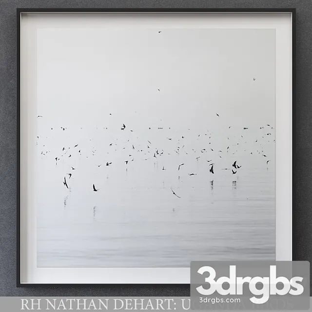 Nathan Dehart Uganda Birds 3dsmax Download