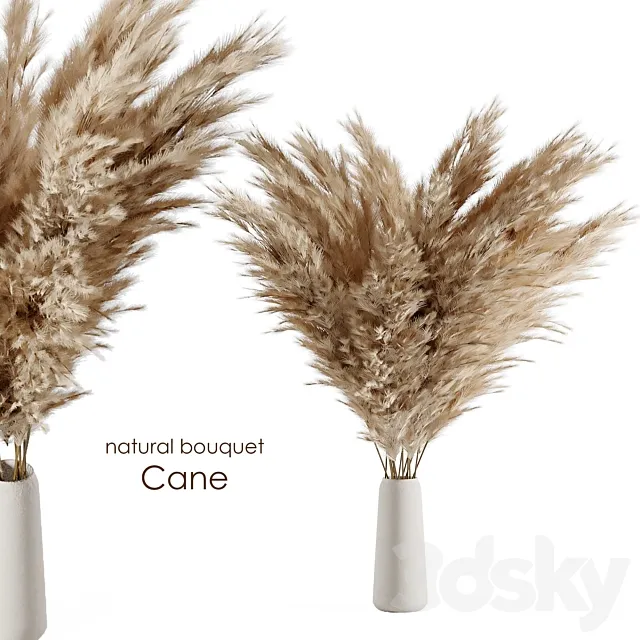 Natural cane bouquet 3DSMax File