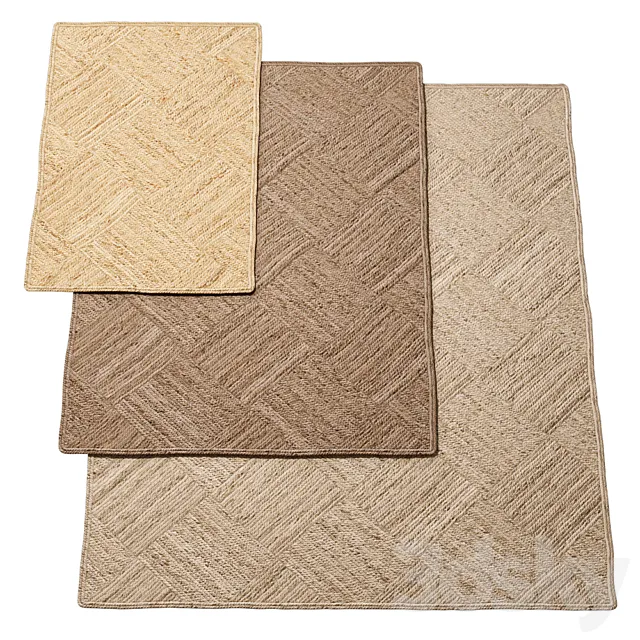 Natural Diagonal Checker Braided Jute Rug 3ds Max