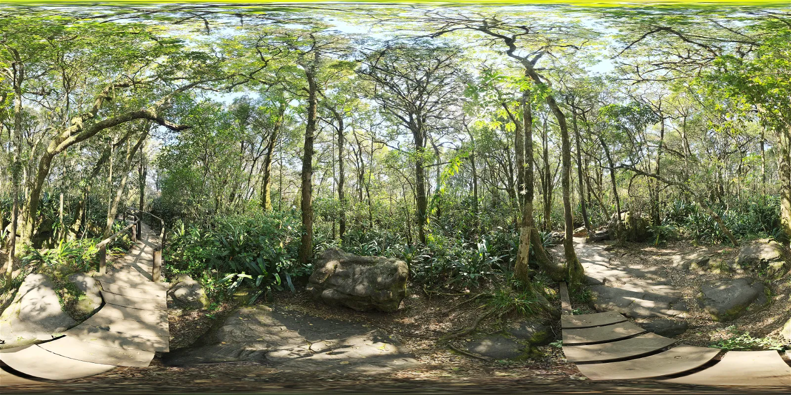 HDRI – Rainforest Trail – outdoor
