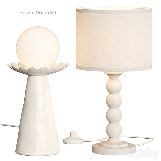Naturalist Sarah West Elm Table Lamp 3dsMax Model