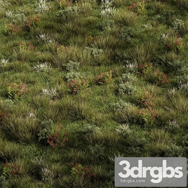 Nature Meadow Grass Set 17 3dsmax Download