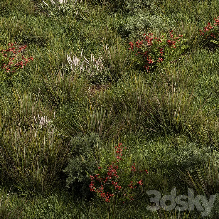 Nature Meadow – Grass Set 17 3DS Max Model