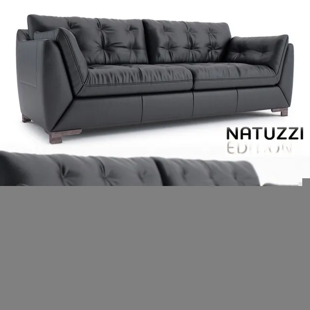 Natuzzi Agostino Sofa 3dsmax Download