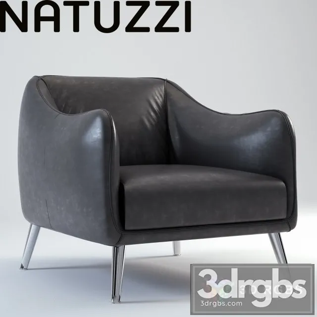 Natuzzi Platea Leather Armchair 3dsmax Download