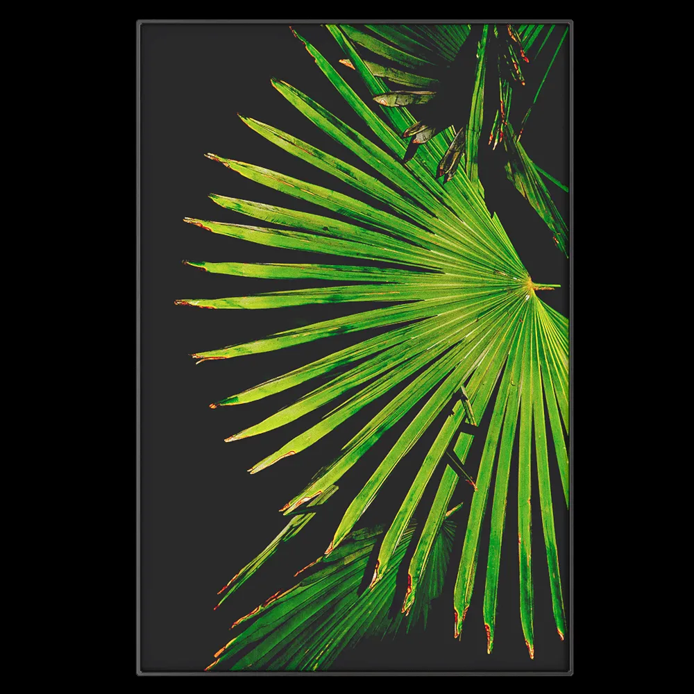 NC Design group® – Picture EBG11 3ds Max