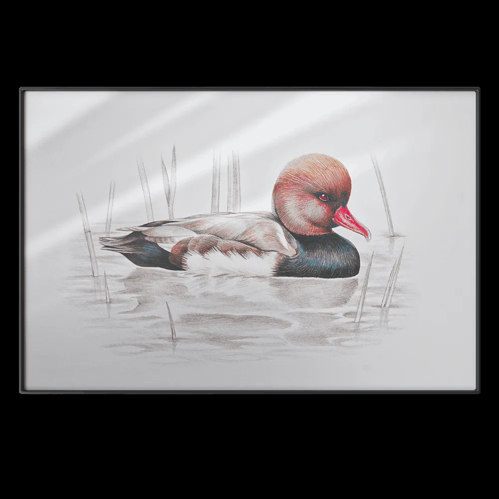 NC Design group – Picture SLU09 3ds Max