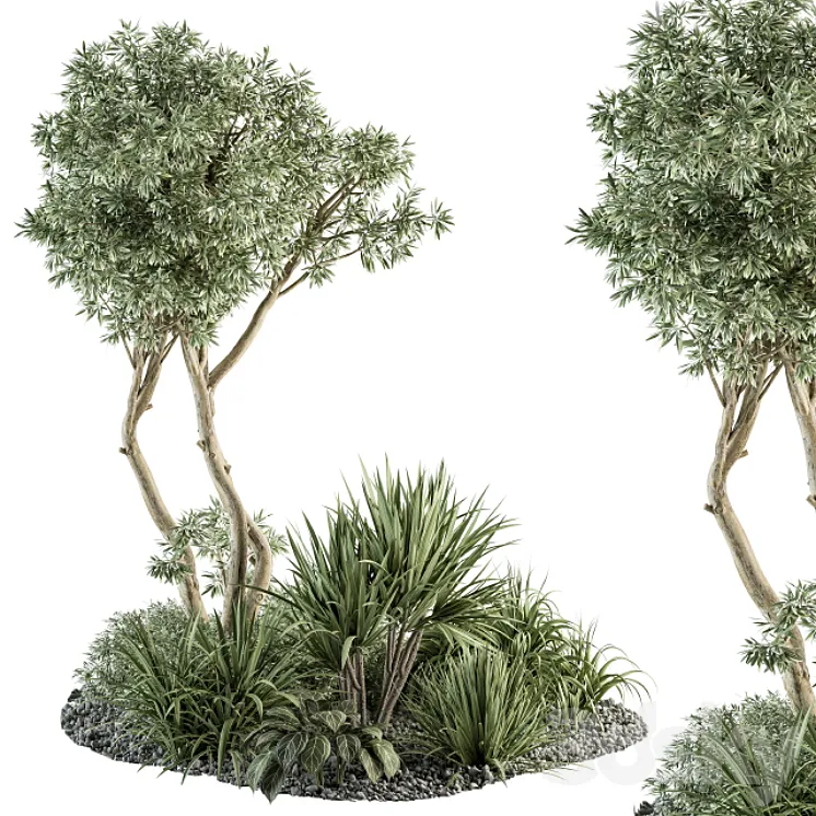 Needle tree and Bush – Outdoor Garden Set 305 3DS Max Model