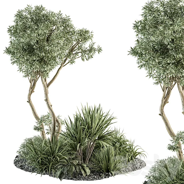 Needle tree and Bush – Outdoor Garden Set 305 3DSMax File