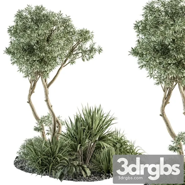 Needle tree and bush – outdoor garden set 305