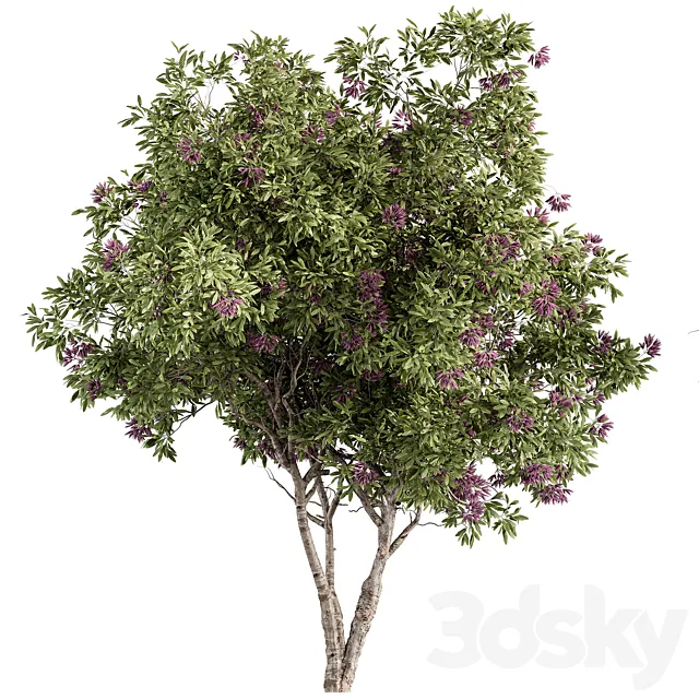 Nerium Oleander -Tree Set 229 3ds Max