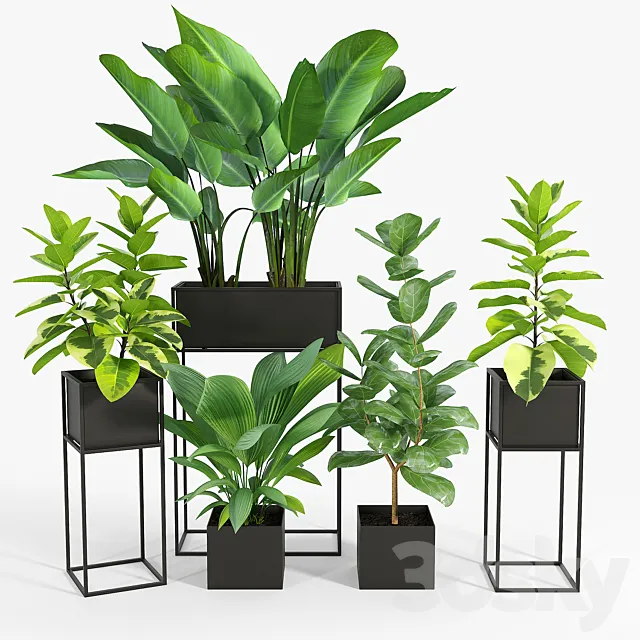 NEW Three Black Standing Planters 01 3ds Max