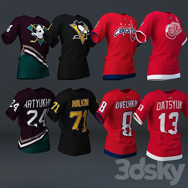 NHL Fan T-shirts 3DS Max Model