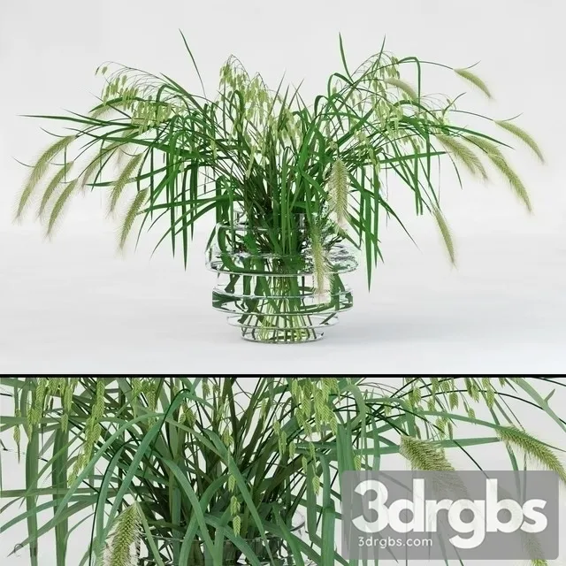 Northern Sea Oats and Pennisetum Green 3dsmax Download