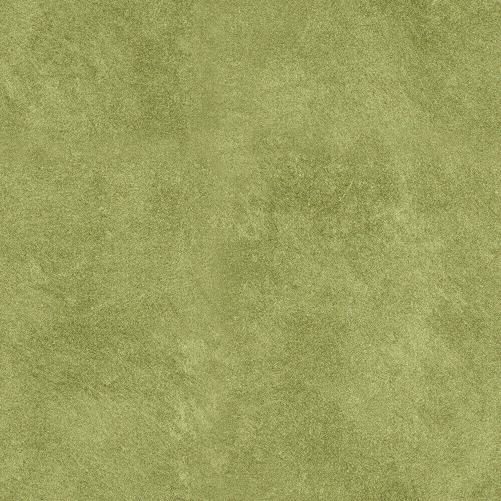 Novacolor – Paint DSO18231 3ds Max