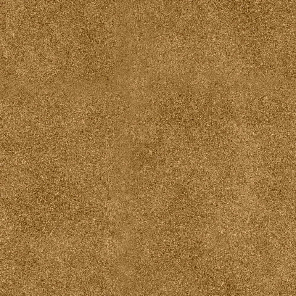 Novacolor – Paint DSO18234 3ds Max