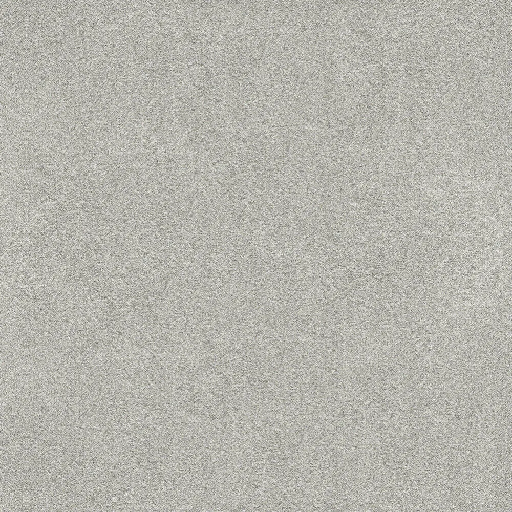 Novacolor – Paint LS18302 3ds Max