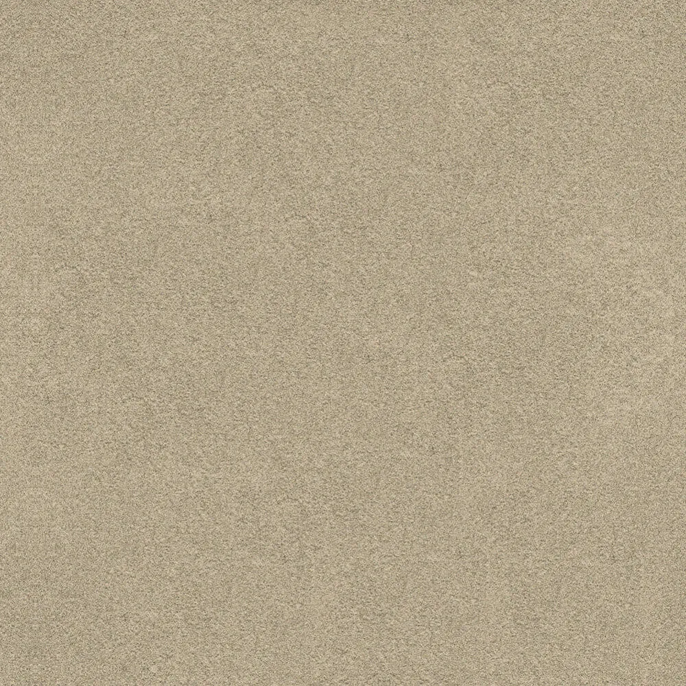 Novacolor – Paint LS18313 3ds Max